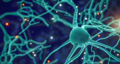 專訪再生生物 像預防疾病一樣抗衰，AI制藥與細胞技術重塑抗衰老未來