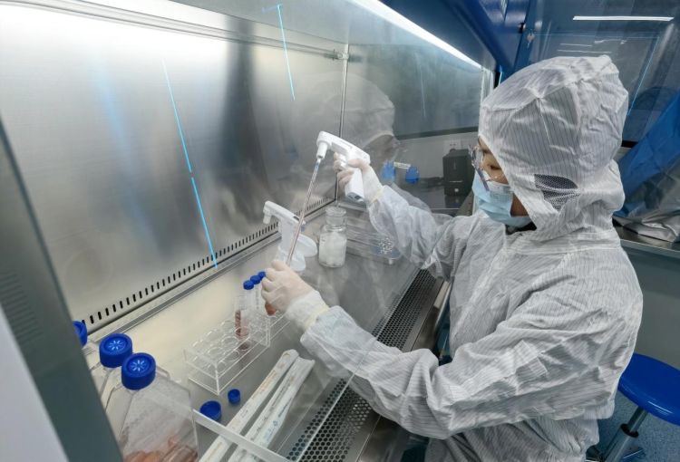 深圳細胞產業迎來新引擎 “大灣區國際綜合細胞庫與區域制備中心”揭牌，加速技術研發與應用