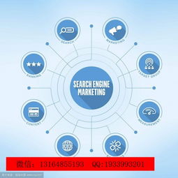 唐山新聞網(wǎng)發(fā)布軟件綿陽