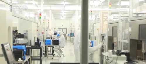 我國數字貿易跨越式發展 增長潛力和空間巨大